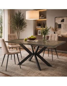 Τραπέζι τραπεζαρίας Dion απόχρωση  160x90