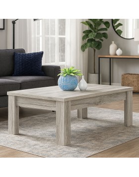 Τραπεζάκι σαλονιού Jaxon 120x60x42