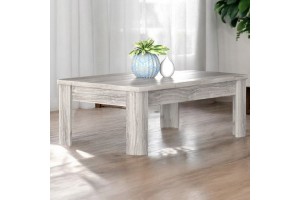 Τραπεζάκι σαλονιού Jaxon 120x60x42