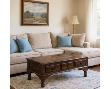 Τραπεζάκι σαλονιού Brook μασίφ ξύλο 110x60x41Y